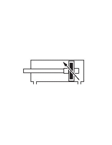 Siłownik pneumatyczny CNOMO D50x160 ze szpilkami, amortyzacja pneumatyczna | Pneumatyka | Eshop Dopak | Wszystko dla Przemysłu