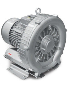 Dmuchawa bocznokanałowa 320 m3/h, 3 kW,  275 mbar/-250 mbar, 400V | Pneumatyka | Eshop Dopak | Wszystko dla Przemysłu 2