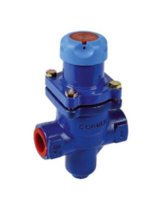 Reduktor ciśnienia pary G 3/4 reg 1,4-4 bar, max 17 bar | Pneumatyka | Eshop Dopak | Wszystko dla Przemysłu