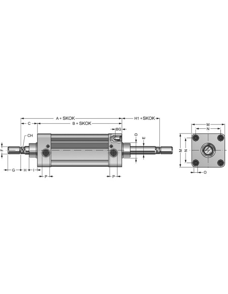 Siłownik ISO D32x15 pokrywy poliacetal | Pneumatyka | Eshop Dopak | Wszystko dla Przemysłu