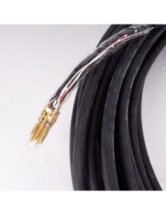 Kabel 8 żył, fi 1mm, jednostronnie PINy męskie,  17,0M, 1402388, REIS ROBOTIC 2