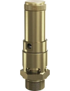 Zawór bezpieczenstwa DN20, G 3/4",  Potw  10 bar, z Atestem WPZ 3.1 w komplecie | Pneumatyka | Eshop Dopak | Wszystko dla Przemy