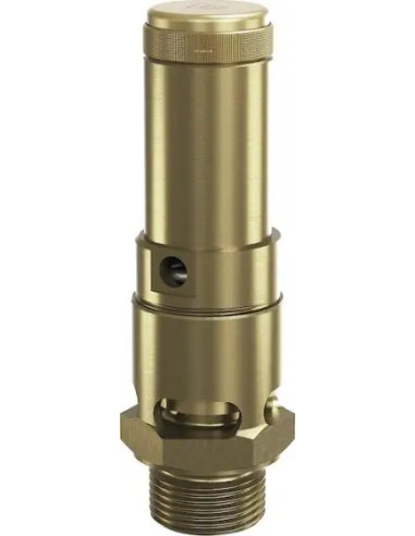 Zawór bezpieczenstwa DN20, G 3/4",  Potw  10 bar, z Atestem WPZ 3.1 w komplecie | Pneumatyka | Eshop Dopak | Wszystko dla Przemy