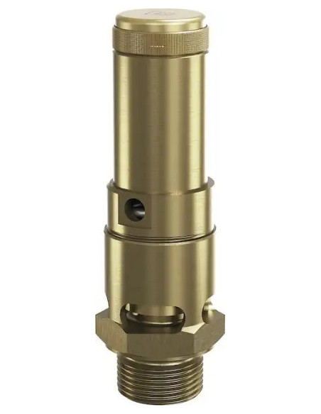 Zawór bezpieczenstwa DN20 G 3/4", Potw  8,0 bar, Atest 3.1 w komplecie | Pneumatyka | Eshop Dopak | Wszystko dla Przemysłu