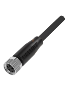 Przewód przyłączeniowy z jednostronnym złączem BCC M314-0000-10-003-PX0434-020 BALLUFF | Przewody i Złącza | Eshop Dopak | Wszys 2