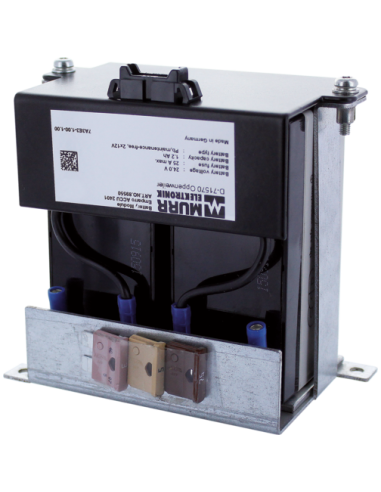 Moduł akumulatorowy Emparro ACCU 2401 24V/1,2Ah 89550 | Elektronika | Eshop Dopak | Wszystko dla Przemysłu