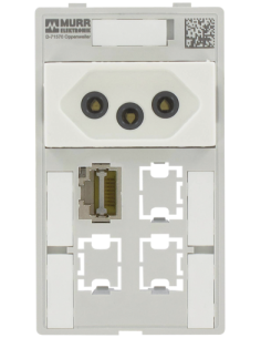 Moduł interfejsu Modlink MSDD 4000-68000-4610001 | Elektronika | Eshop Dopak | Wszystko dla Przemysłu