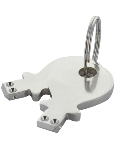 Klucz zamienny do 1x90° blokowanego zamknięcia zamkowego klucza z otworem montażowym 69094 | Elektryka | Eshop Dopak | Wszystko 