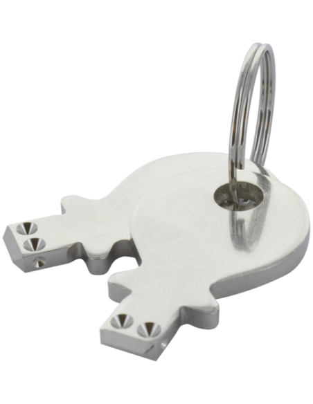 Klucz zamienny do 1x90° blokowanego zamknięcia zamkowego klucza z otworem montażowym 69094 | Elektryka | Eshop Dopak | Wszystko 