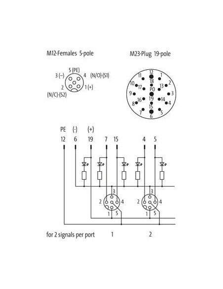 Moduł pasywny Exact12, 8xM12, 5-polowy, wyjście M23 19-polowe 8000-88520-0000000 | Elektronika | Eshop Dopak | Wszystko dla Prze