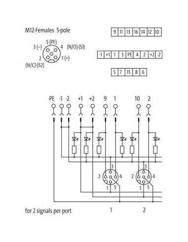 Moduł pasywny Exact12, 8xM12, 5-polowy 8000-88540-0000000 | Elektronika | Eshop Dopak | Wszystko dla Przemysłu