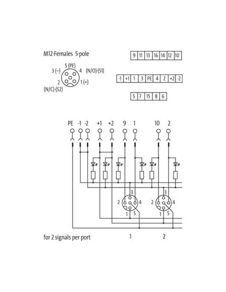Moduł pasywny Exact12, 8xM12, 5-polowy 8000-88540-0000000 | Elektronika | Eshop Dopak | Wszystko dla Przemysłu
