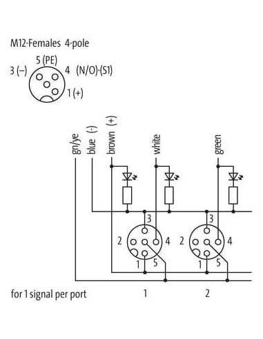 Moduł pasywny Exact12, 8xM12, 4-polowy 8000-88410-3621000 | Elektronika | Eshop Dopak | Wszystko dla Przemysłu