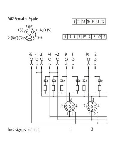 Moduł pasywny Exact12, 4xM12, 5-polowy, szybka referencja do 8000-84550-0000000 | Elektronika | Eshop Dopak | Wszystko dla Przem