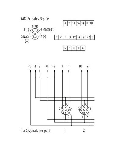 Moduł pasywny Exact12, 8xM12, 5-polowy, bez LED, bez zasilania 8000-88502-0000000 | Elektronika | Eshop Dopak | Wszystko dla Prz