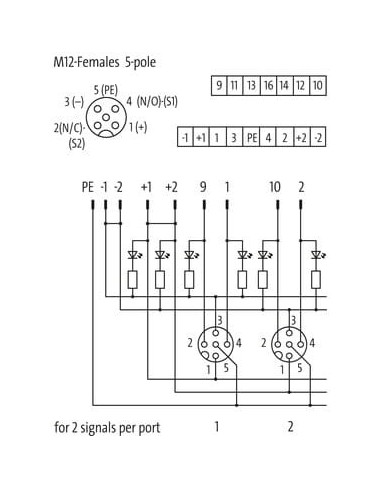 Moduł pasywny Exact12, 4xM12, 5-polowy, nr referencyjny 8000-84500-0000000 | Elektronika | Eshop Dopak | Wszystko dla Przemysłu
