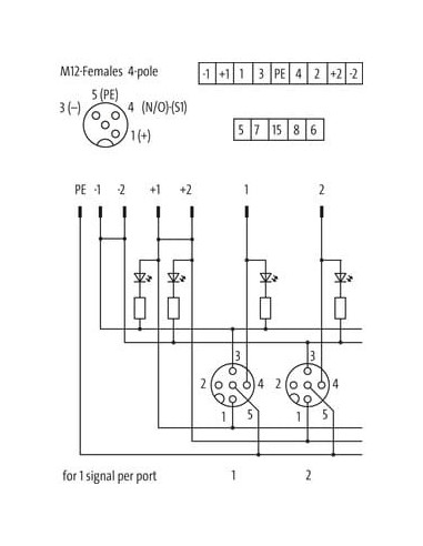 Moduł pasywny Exact12, 8xM12, 4-polowy, nr referencyjny 8000-88400-0000000 | Elektronika | Eshop Dopak | Wszystko dla Przemysłu