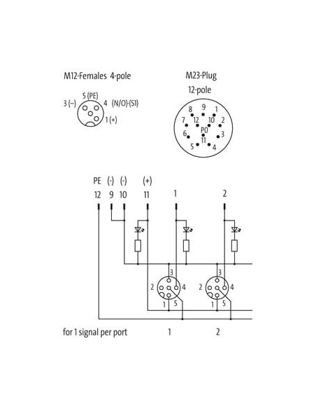 Moduł pasywny Exact12, 8xM12, 4-polowy 8000-88430-0000000 | Elektronika | Eshop Dopak | Wszystko dla Przemysłu
