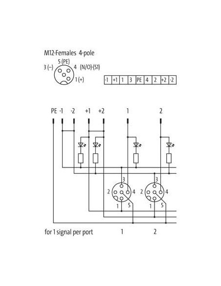 Moduł pasywny Exact12, 4xM12, 4-polowy, bez zasilania 8000-84400-0000000 | Elektronika | Eshop Dopak | Wszystko dla Przemysłu
