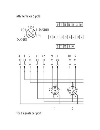 Moduł pasywny Exact12, 8xM12, 5-polowy, bez LED 8000-88552-0000000 | Elektronika | Eshop Dopak | Wszystko dla Przemysłu