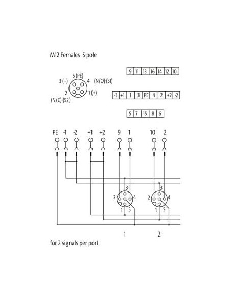 Moduł pasywny Exact12, 8xM12, 5-polowy, bez LED 8000-88552-0000000 | Elektronika | Eshop Dopak | Wszystko dla Przemysłu