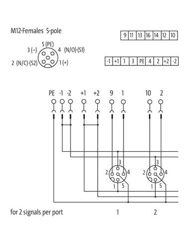 Moduł pasywny Exact12, 4xM12, 5-polowy 8000-84552-0000000 | Elektronika | Eshop Dopak | Wszystko dla Przemysłu