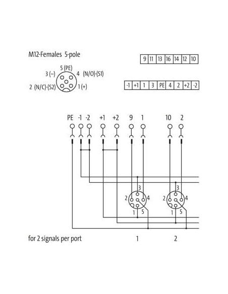Moduł pasywny Exact12, 4xM12, 5-polowy 8000-84552-0000000 | Elektronika | Eshop Dopak | Wszystko dla Przemysłu