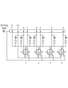 Moduł pasywny Exact12, 4xM12, 4-polowy 8000-84470-0000000 | Elektronika | Eshop Dopak | Wszystko dla Przemysłu 2