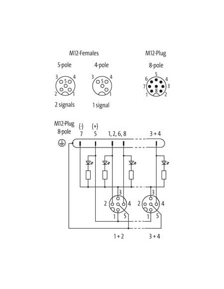 Moduł pasywny Exact12, 4xM12, 4-polowy 8000-84470-0000000 | Elektronika | Eshop Dopak | Wszystko dla Przemysłu