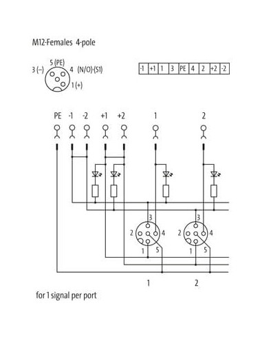 Moduł Exact12, 4xM12, 4-polowy, wyłącznik do zacisków śrubowych 8000-84450-0000000 | Elektronika | Eshop Dopak | Wszystko dla Pr