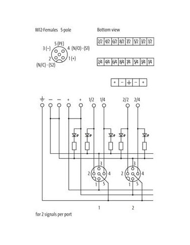 Moduł pasywny Exact12, 8xM12, 5-polowy 8000-88580-0000000 | Elektronika | Eshop Dopak | Wszystko dla Przemysłu