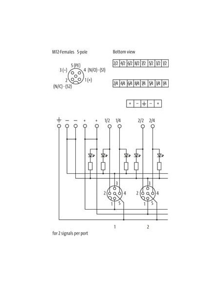 Moduł pasywny Exact12, 8xM12, 5-polowy 8000-88580-0000000 | Elektronika | Eshop Dopak | Wszystko dla Przemysłu