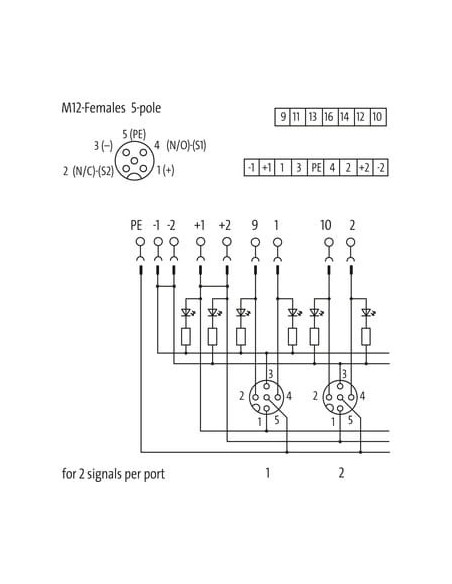 Moduł pasywny Exact12, 4xM12, 5-polowy, wtyk bez zasilania 8000-84540-0000000 | Elektronika | Eshop Dopak | Wszystko dla Przemys