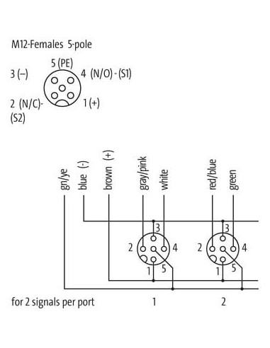 Moduł pasywny Exact12, 8xM12, 5-polowy, bez diody LED 8000-88512-3981000 | Elektronika | Eshop Dopak | Wszystko dla Przemysłu