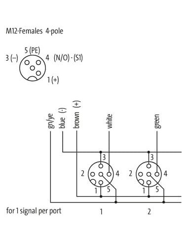 Moduł pasywny Exact12, 8xM12, 4-polowy, bez LED 8000-88412-3621000 | Elektronika | Eshop Dopak | Wszystko dla Przemysłu