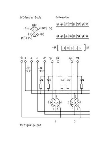 Exact12, 8xM12, 5 pinów, 8000-88690-0000000 | Elektronika | Eshop Dopak | Wszystko dla Przemysłu