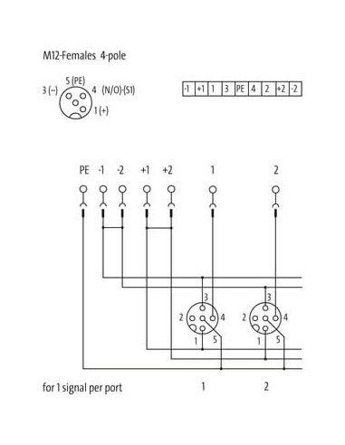 Exact12, 4xM12, 4-biegunowy, wyłącznik, śruba-term 8000-84452-0000000 | Elektronika | Eshop Dopak | Wszystko dla Przemysłu
