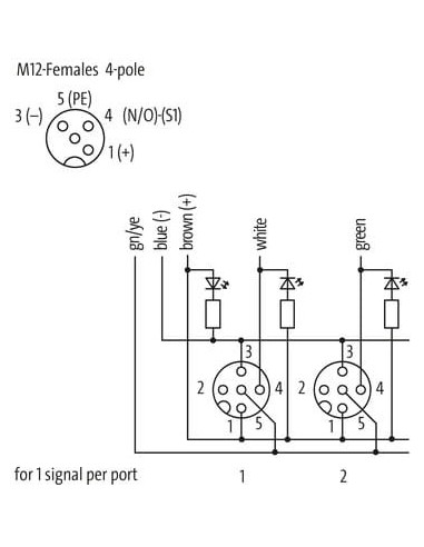 Moduł pasywny Exact12, 8xM12, 4-polowy, NPN 8000-88411-3621000 | Elektronika | Eshop Dopak | Wszystko dla Przemysłu