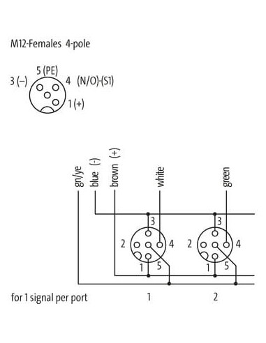 Moduł pasywny Exact12, 4xM12, 4-polowy, bez LED 8000-84412-3330500 | Elektronika | Eshop Dopak | Wszystko dla Przemysłu