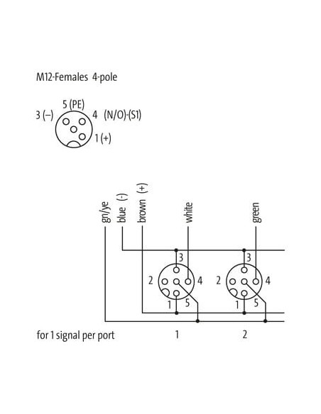 Moduł pasywny Exact12, 4xM12, 4-polowy, bez LED 8000-84412-3330500 | Elektronika | Eshop Dopak | Wszystko dla Przemysłu