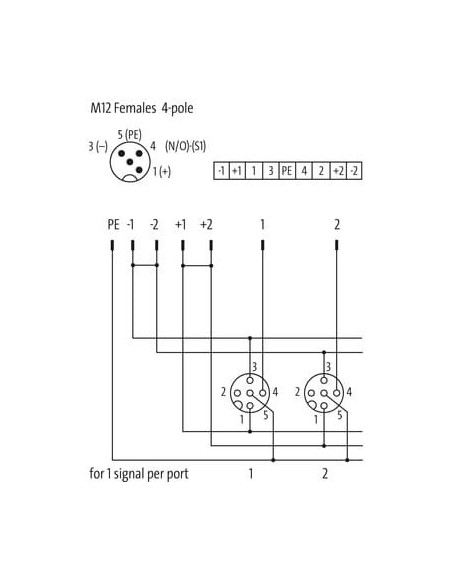 Exact12, 4xM12, 4-biegunowy, obudowa podstawowa, bez diody LED 8000-84402-0000000 | Elektronika | Eshop Dopak | Wszystko dla Prz