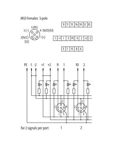 Moduł pasywny Exact12, 8xM12, 5-polowy, NPN, o którym mowa wtyki 8000-88501-0000000 | Elektronika | Eshop Dopak | Wszystko dla P