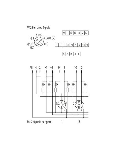 Moduł pasywny Exact12, 8xM12, 5-polowy, NPN, o którym mowa wtyki 8000-88501-0000000 | Elektronika | Eshop Dopak | Wszystko dla P