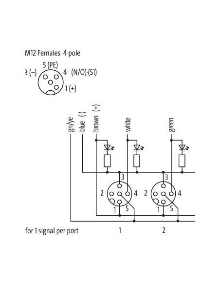Modul pasywny Exact12, 8xM12, 4-polowy 8000-88410-4470500 | Elektronika | Eshop Dopak | Wszystko dla Przemysłu