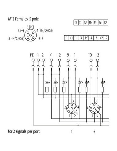 Moduł pasywny Exact12, 4xM12, 5-polowy, NPN, dostęp bez zasilania 8000-84551-0000000 | Elektronika | Eshop Dopak | Wszystko dla 