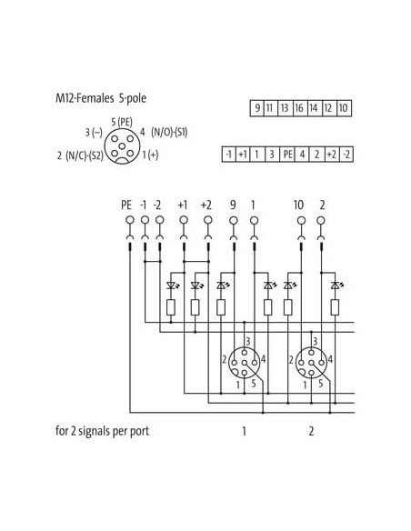 Moduł pasywny Exact12, 4xM12, 5-polowy, NPN, dostęp bez zasilania 8000-84551-0000000 | Elektronika | Eshop Dopak | Wszystko dla 