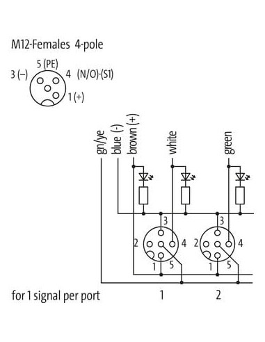Exact12, 4xM12, 4-biegunowy, kabel formowany 8000-84410-3332500 | Elektronika | Eshop Dopak | Wszystko dla Przemysłu