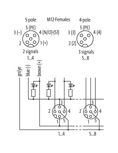 Moduł pasywny Exact12 Satefy 8000-98710-4071500 | Elektronika | Eshop Dopak | Wszystko dla Przemysłu