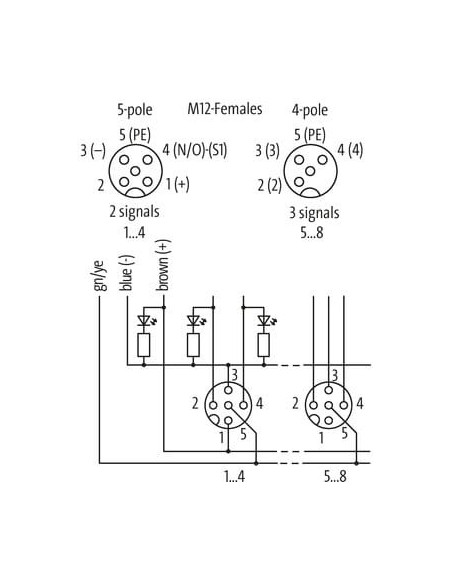 Moduł pasywny Exact12 Satefy 8000-98710-4071500 | Elektronika | Eshop Dopak | Wszystko dla Przemysłu