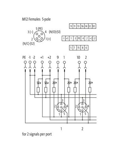 Exact12, 4xM12, 5-biegunowy, kapturek, zapasowy. końcówka śrubowa. 8000-88551-0000000 | Elektronika | Eshop Dopak | Wszystko dla